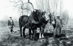 Joseph Uhl et son épouse Augustine labourent leur champ (1942).